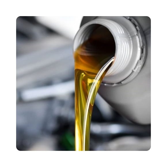 Shop All Auto Parts